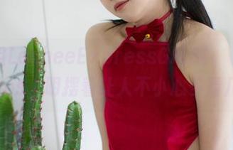 这一组LeeheeExpressGMS(고말숙)的高清cos，明摆着让人不小心多看几眼！