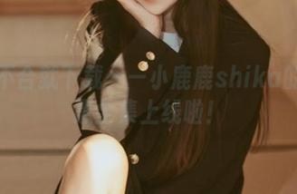 一言不合就下载——小鹿鹿shika的加藤惠全集上线啦！