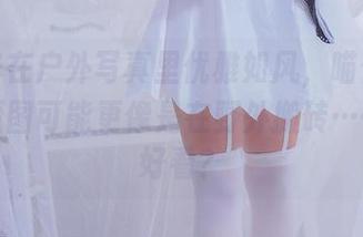 猫九酱在户外写真里优雅如风，喵但我这边的原图可能更像是在野外搬砖……哪个好看？
