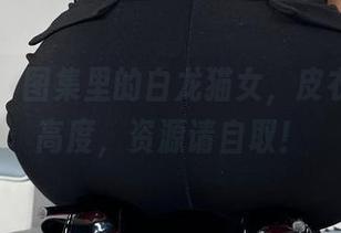 微密圈 – 图集里的白龙猫女，皮衣穿出新高度，资源请自取！