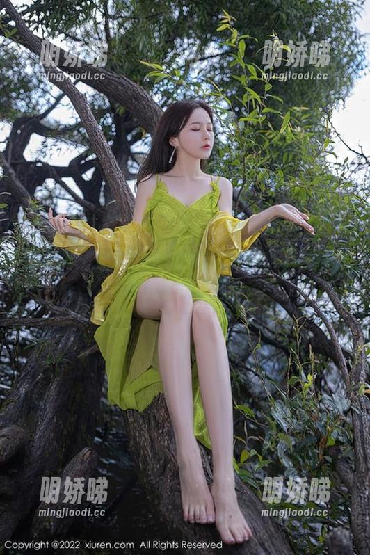 秀人网-安妮Tess 秀人网 - 安妮Tess的眼镜套图来了,这次咋丸子般晶亮!