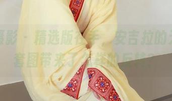 绮梦摄影 – 精选版在手，安吉拉的无圣光套图带来了怎样的反转？